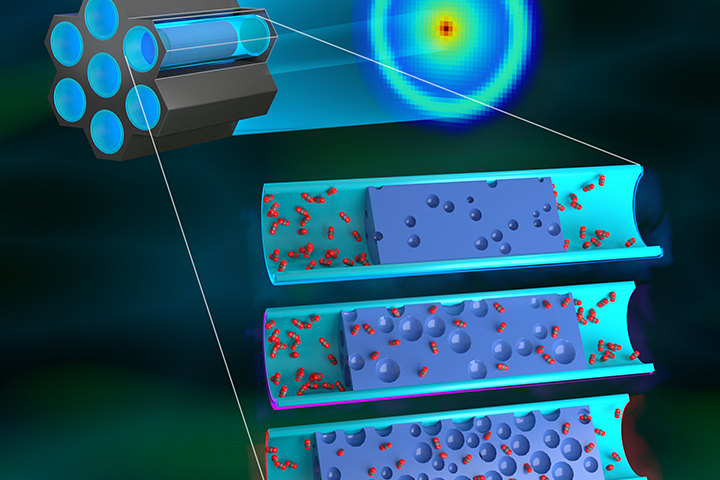 ORNL’s Top 10 neutron scattering achievements of 2019